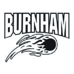link to Burnham school district 154-5